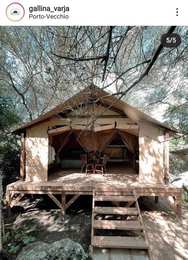 Camping Gallina Varja Sotta Exteriér fotografie